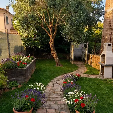 Charming 2-floor With Vineyard Views In Morro Dalba Морро-д'Альба