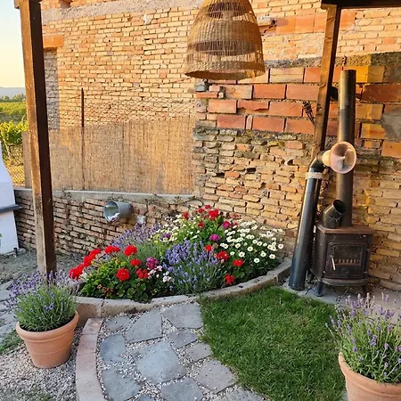 Апартаменты Charming 2-floor With Vineyard Views In Morro Dalba